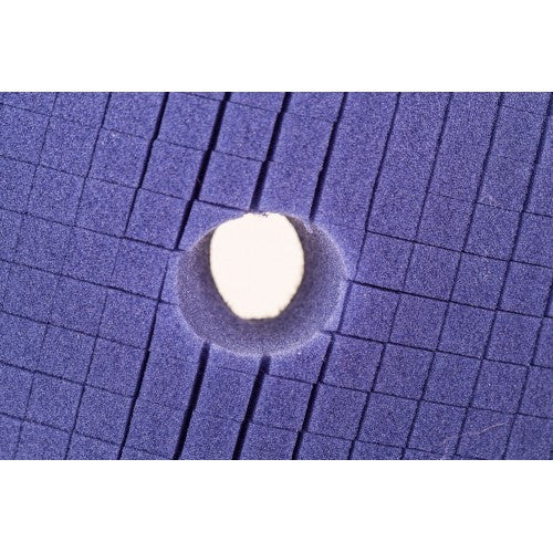 Scholl Concepts Navy Blue Spider Pad